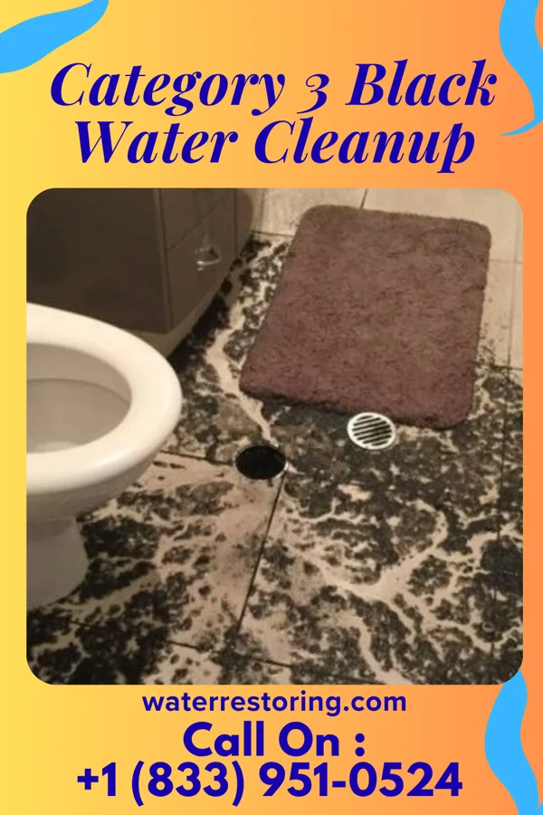 Category 3 Black Water Cleanup in Sage, CA